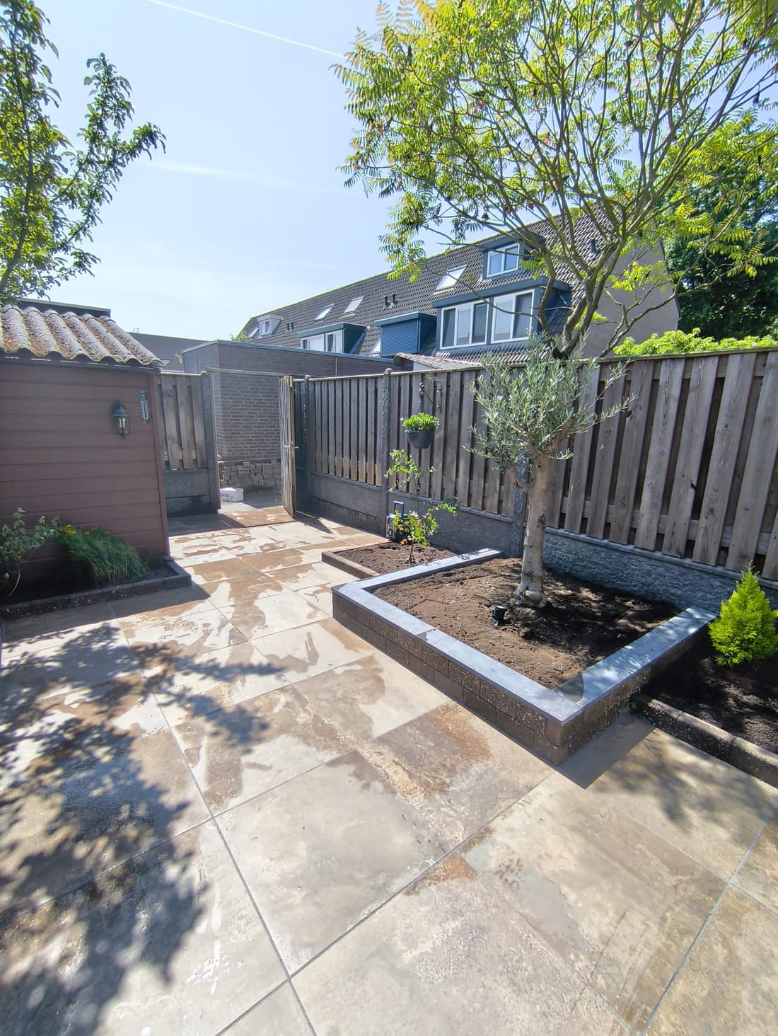 Compact garden with olive tree, raised beds and fresh porcelain terrace