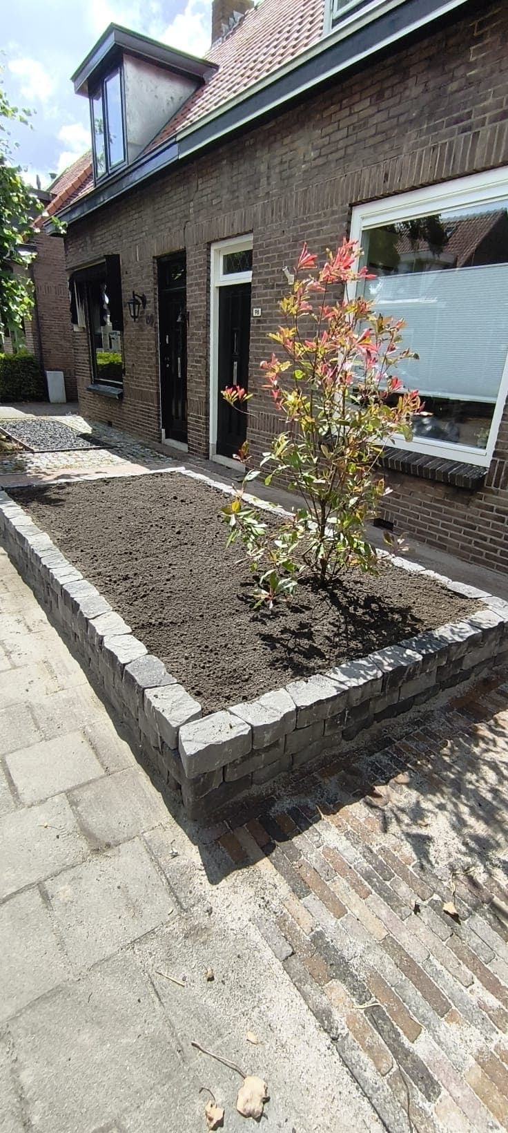 Raised stacked-stone planter with a newly planted shrub